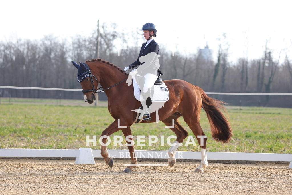 0P6A5943 | Willkommen bei Brunnmayr - Design & Fotografie – Ihrem Spezialisten für Reitturniere und Pferdeveranstaltungen in Oberösterreich, Salzburg und Bayern! Seit über 17 Jahren sind wir leidenschaftlich dabei.