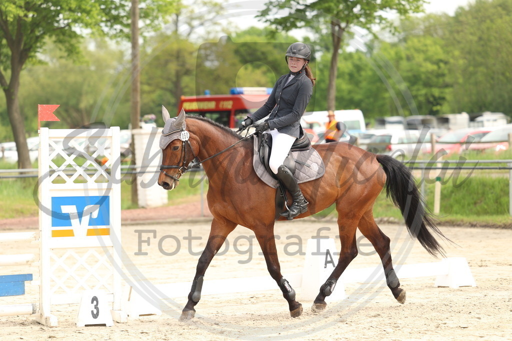 994A7583 | sabrinanicolaifotografie - Realisiert mit Pictrs.com