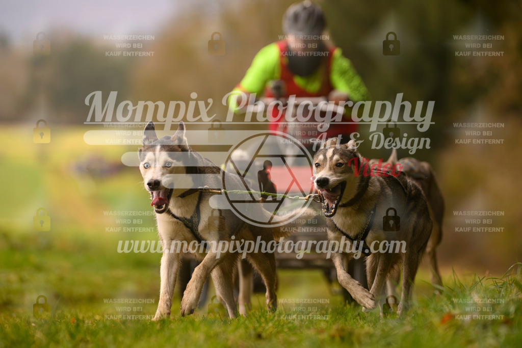 MompixPhotography_2SSTSSBW_2025_SO_Kart-18 | PayLife