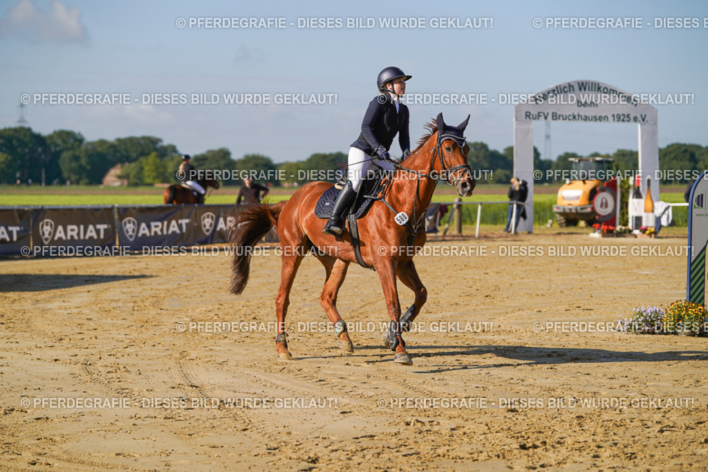 DSC04808 | Pferdegrafie
