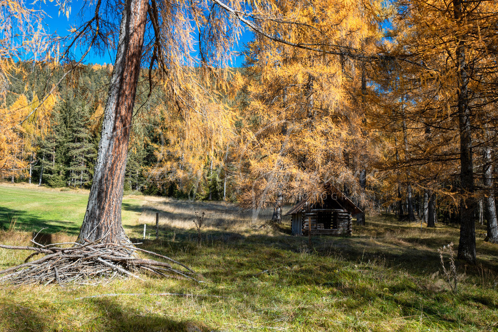 Herbst | Herbst am Mieminger Plateau