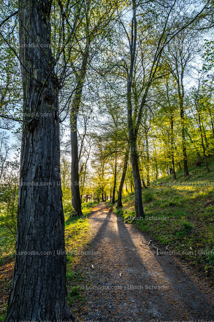 10049-14012 - In den Spiegelsbergen - Halberstadt | Stockfoto und Bilderpool mit Bildmaterial aus Deutschland, dem Harz, Halberstadt, Quedlinburg, Wernigerode und weltweit. Qualitativ hochwertige und professionelle Fotos anschauen und kaufen. - Realisiert mit Pictrs.com