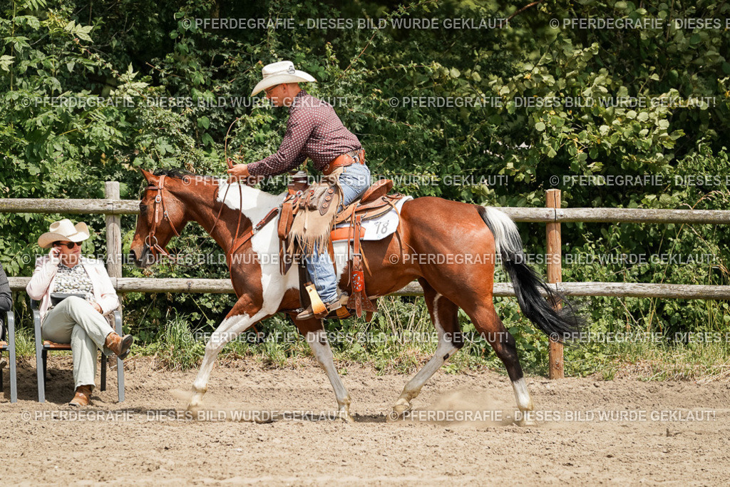 DSC09742 | Pferdegrafie