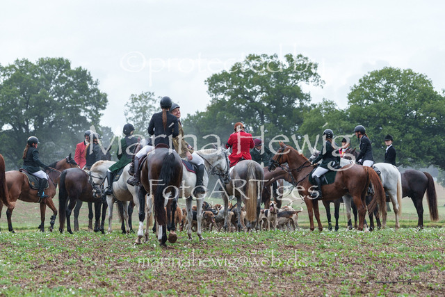 Jagd Perdoel 26 Sony-03551_MarinaHewig | Fotografie, FotoArt, PferdesportArt, Pferdesportfotografie, Landschaftsfotografie, Reisefotografie, Reise, Pferde - Realisiert mit Pictrs.com
