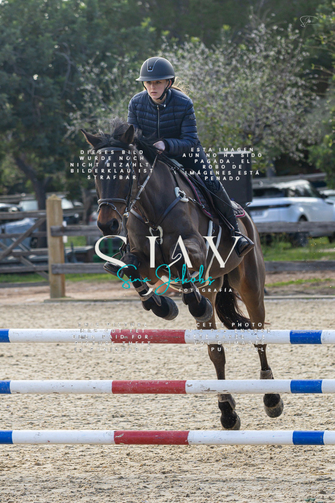 IMG_5071 | s-jay-photography - Realisiert mit Pictrs.com