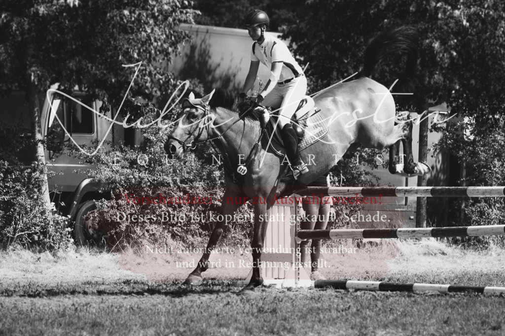 DSC_0840 | Pferde- und Turnierfotografie in Westsachsen. Pferdeportraits, Auftragszeichnungen und intuitive Kunst.