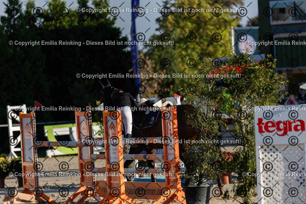 CL5A7077 | Emilia Reinking Fotografie - Realisiert mit Pictrs.com