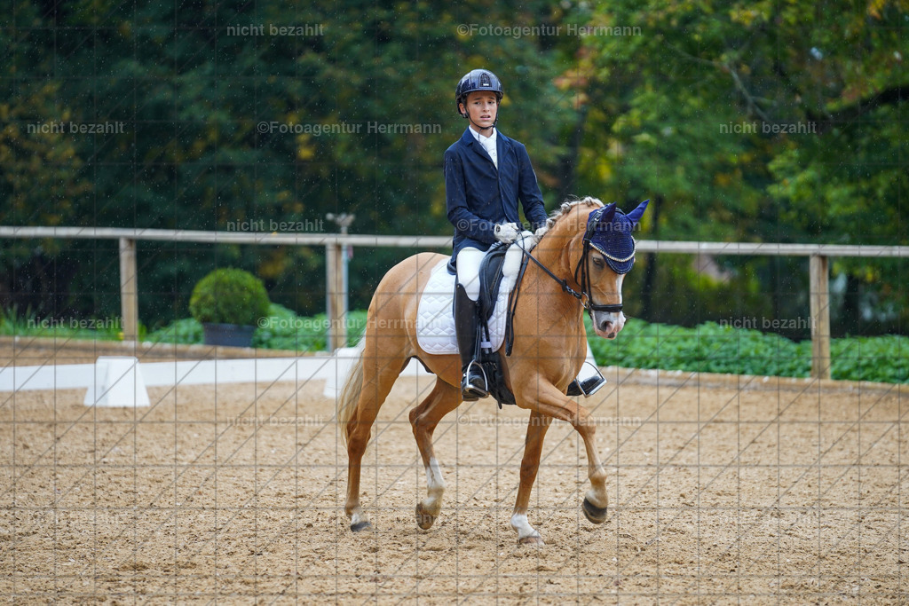 20221008-FAH01995 | Diessen am Ammersee, 2022, Dressur- und Springturnier, Reitsportbilder, Turnierfotografen Bayern, Pferdefotografen, Fotoagentur Herrmann, Turnierbilder