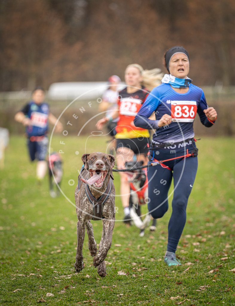 CaniXpix_DV3A6303 | Hundefotografie, Tierfotograf, Pfotenfotografie, Fotoshooting Hund, Hunde Portrait, Hundesport, Hundeportraits, Heideshooting, Hunde, Sportfotograf, Hundefotograf, Turnierhundsport, THS,  - Realisiert mit Pictrs.com