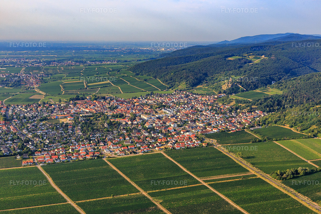 Luftbild: Stadtansicht aus Norden in Wachenheim an der Weinstraße im Bundesland Rheinland-Pfalz in Deutschland. Foto: IMG_108891.jpg vom 15.07.2018 durch Werner Riehm/FLY-FOTO.de