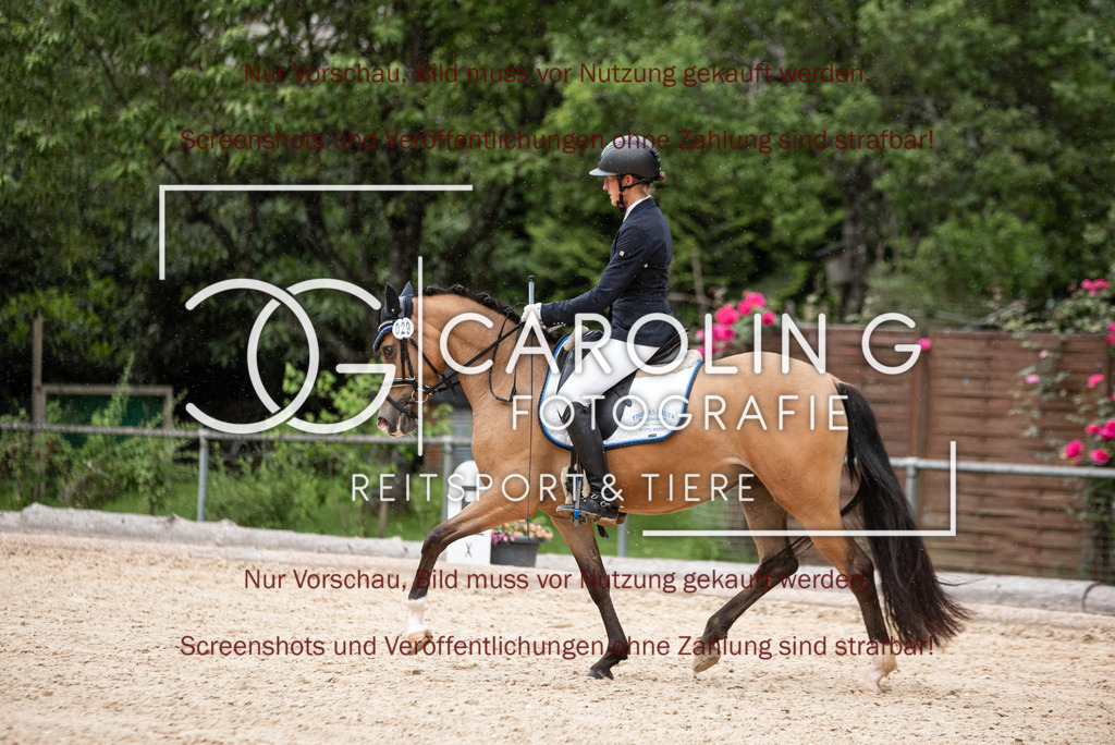 DSC_3110 | Turnierfotografin Carolin Gieschke,Reitsport Turnierfotografie Carolin G Fotografie | Turnierfotos aus Kirchheim/Teck, Esslingen, Stuttgart und dem Bodenseekreis