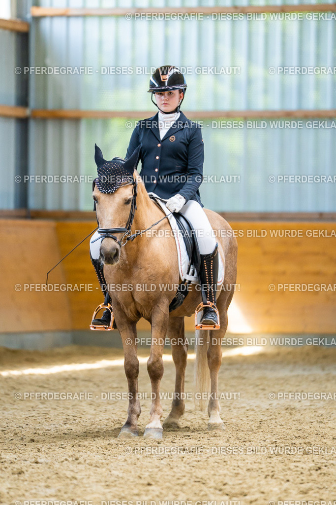 DSC09200 | Pferdegrafie