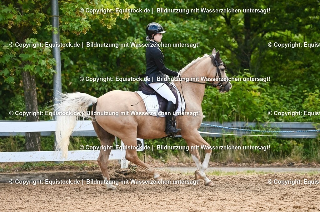 20230716_04_Dressurreiterprüfung Kl.A_0366 | equistock