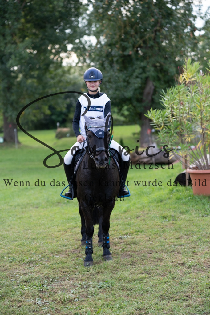 A7V03146 | Turnier/Reitfotograf