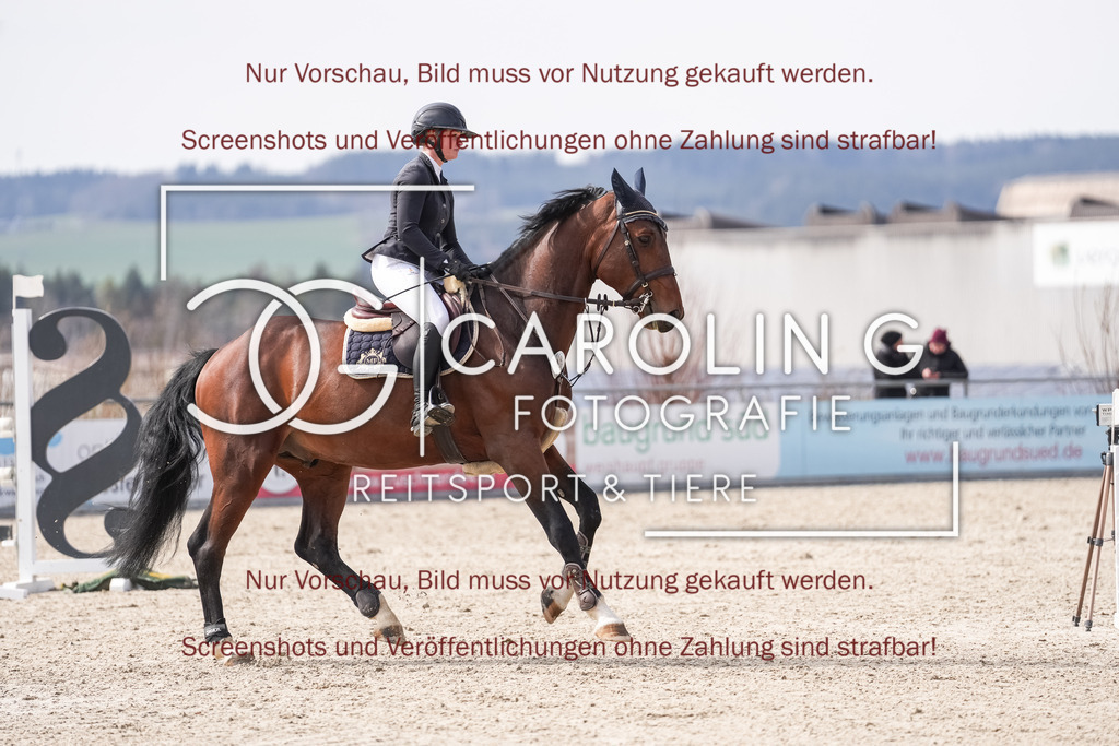 DSC06095 | Late_entry_Springturnier_Bad_Wurzach, Antonia_Ellinger, Chacco´s_Touch