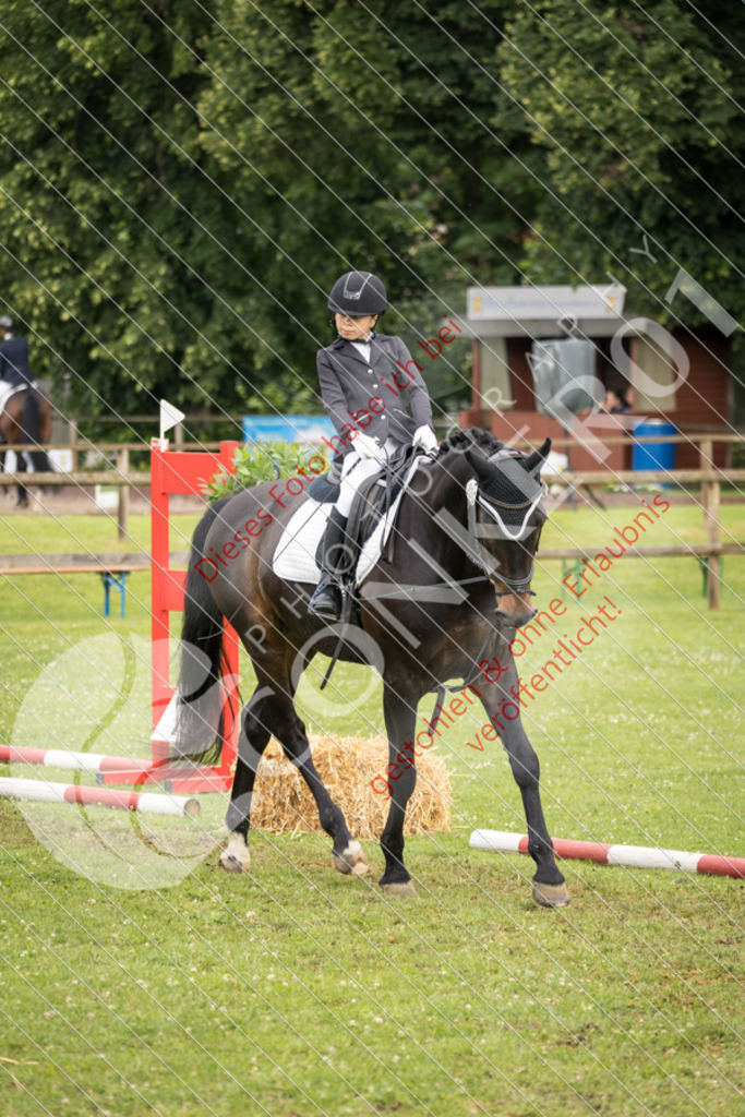 IMG_1646 | Sport-, Event- und Tierfotos in Profiqualität. Einfach auswählen, bestellen und herunterladen. Dein Moment – perfekt festgehalten.