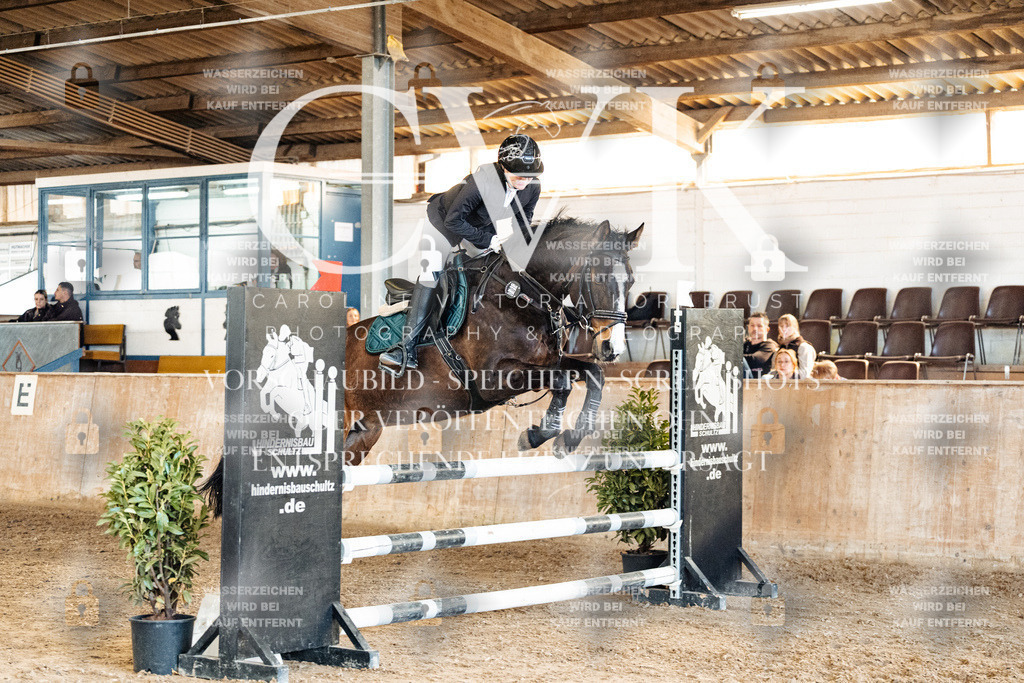 CK905341 | Turnierfotografie Pferdefotografie Trier Rheinland-Pfalz Pferdesport Reitsport Tierfotografie Sportfotografie Pferdevideo Pferdevideografie Equestrianvideography equestrianphotography  - Realisiert mit Pictrs.com