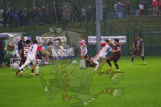 BFC Dynamo vs. Hallescher FC 075 | mythos-online-redaktion