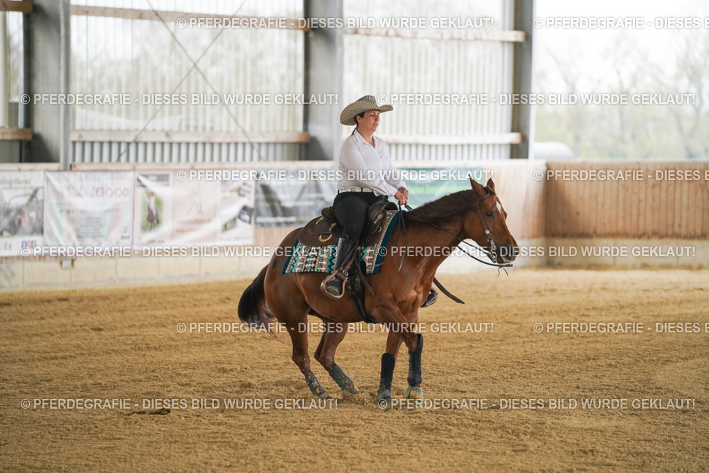 DSC07833 | Pferdegrafie