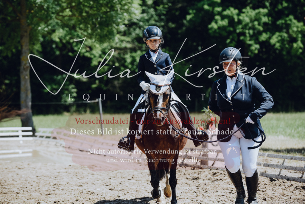 DSC_2141 | Pferde- und Turnierfotografie in Westsachsen. Pferdeportraits, Auftragszeichnungen und intuitive Kunst.