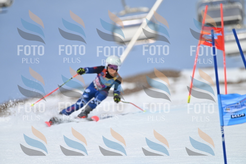 BGV_4258 | holidayphoto