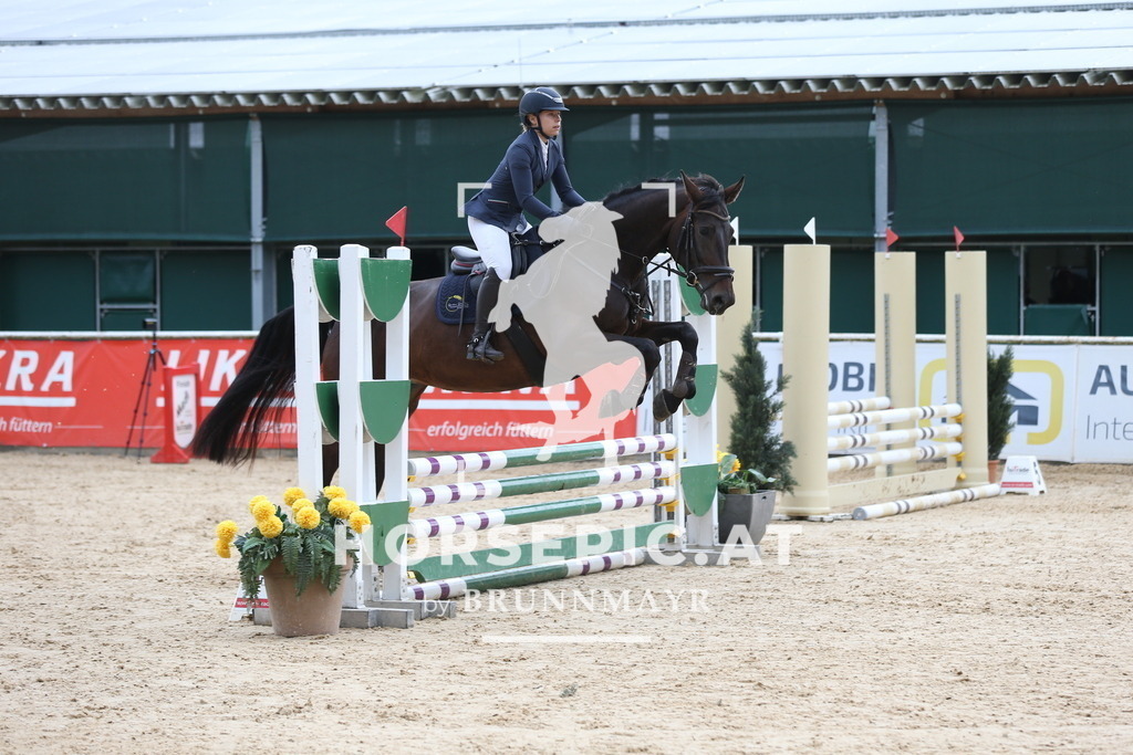 DL2Q4783 | Willkommen bei Brunnmayr - Design & Fotografie – Ihrem Spezialisten für Reitturniere und Pferdeveranstaltungen in Oberösterreich, Salzburg und Bayern! Seit über 17 Jahren sind wir leidenschaftlich dabei.