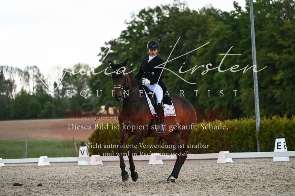 20230514_JK-Röhrsdorf-21-523 | Pferde- und Turnierfotografie in Westsachsen. Pferdeportraits, Auftragszeichnungen und intuitive Kunst.