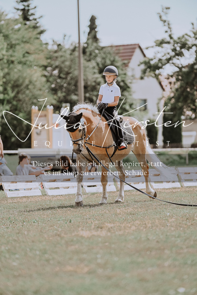 DSC_7764 | Pferde- und Turnierfotografie in Westsachsen. Pferdeportraits, Auftragszeichnungen und intuitive Kunst.