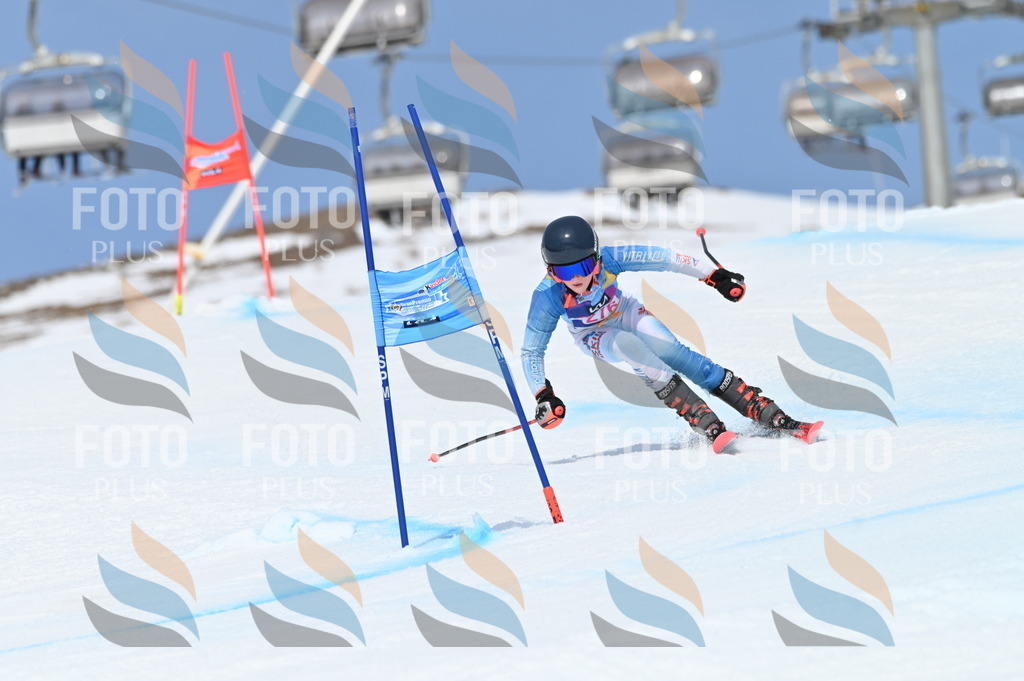 BGV_2349 | holidayphoto