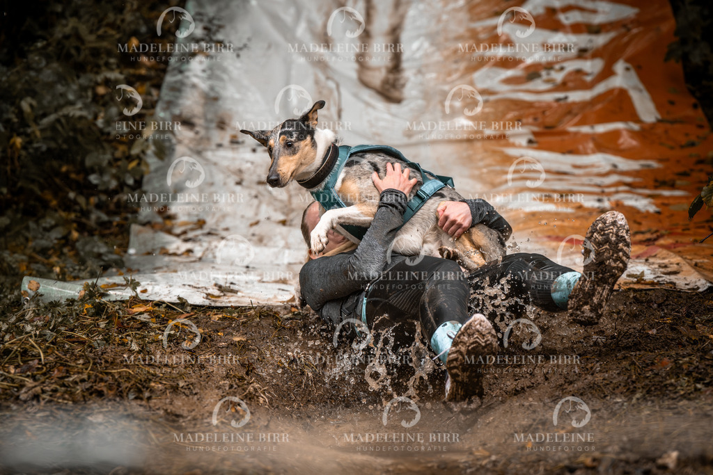 madeleinebirr-fotografie2025.campcanis.sa.10-11Uhr-206 | hundefotografie-birr