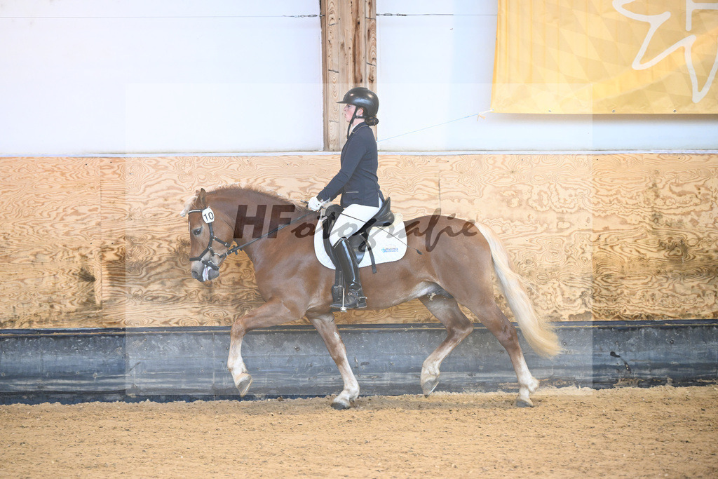 Kat-Nr. 10 Napoleon Bonaparte_Blum_44240314 | hf-fotografie - Realisiert mit Pictrs.com