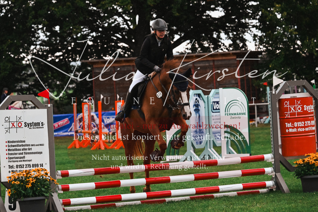 DSC_6089 | Pferde- und Turnierfotografie in Westsachsen. Pferdeportraits, Auftragszeichnungen und intuitive Kunst.