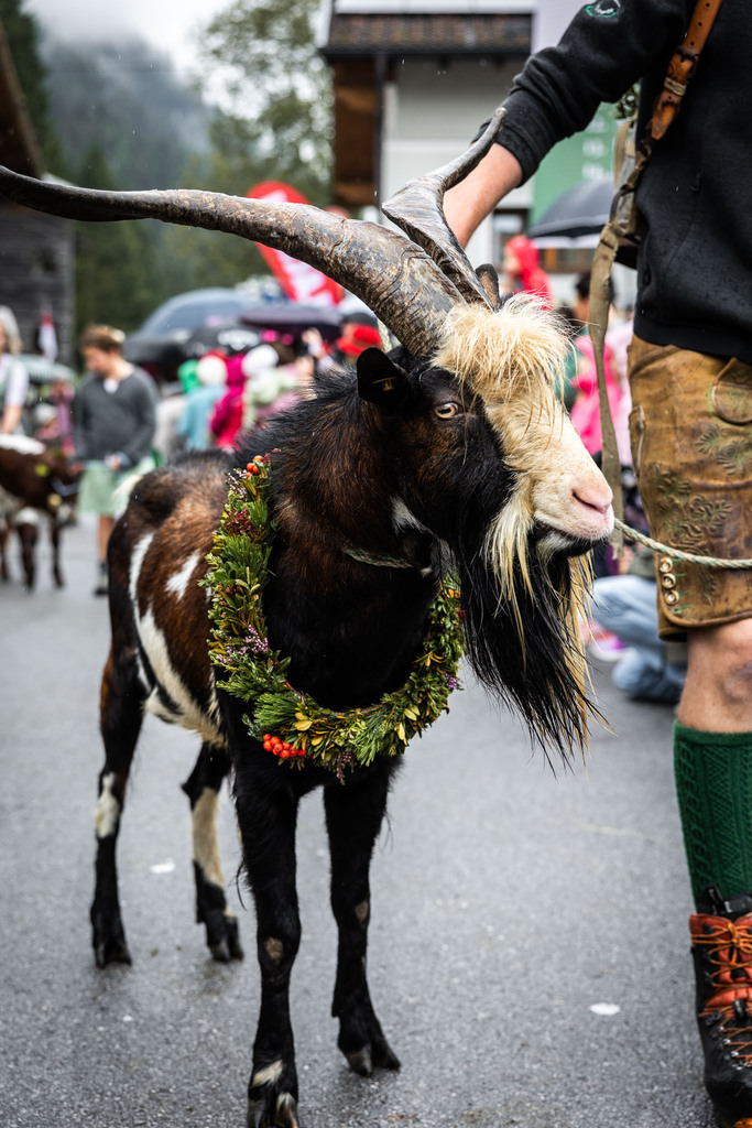 Rupertifest_Flachau_2k25_Webauflösung-254 | Bildershop Chri Fischbacher - Realisiert mit Pictrs.com