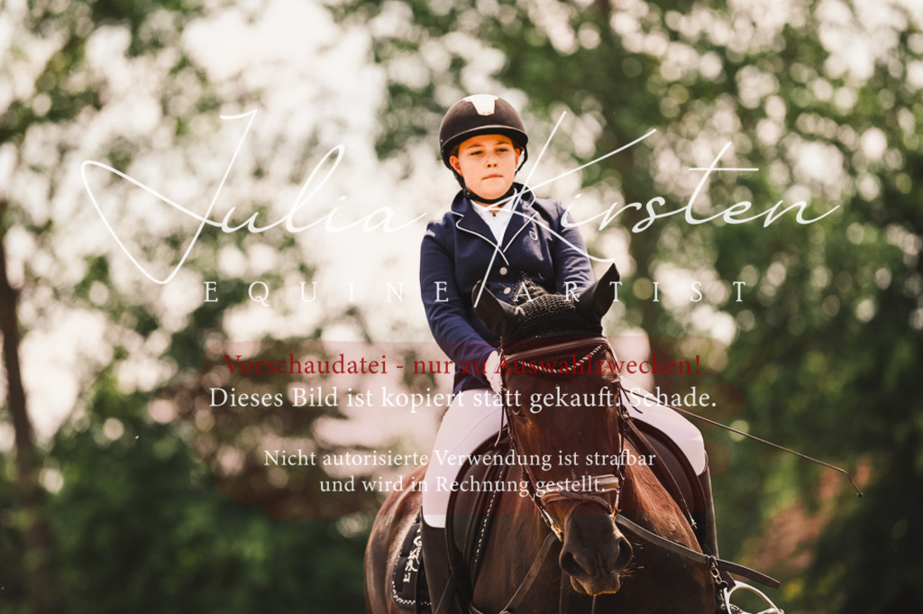 DSC_6331 | Pferde- und Turnierfotografie in Westsachsen. Pferdeportraits, Auftragszeichnungen und intuitive Kunst.