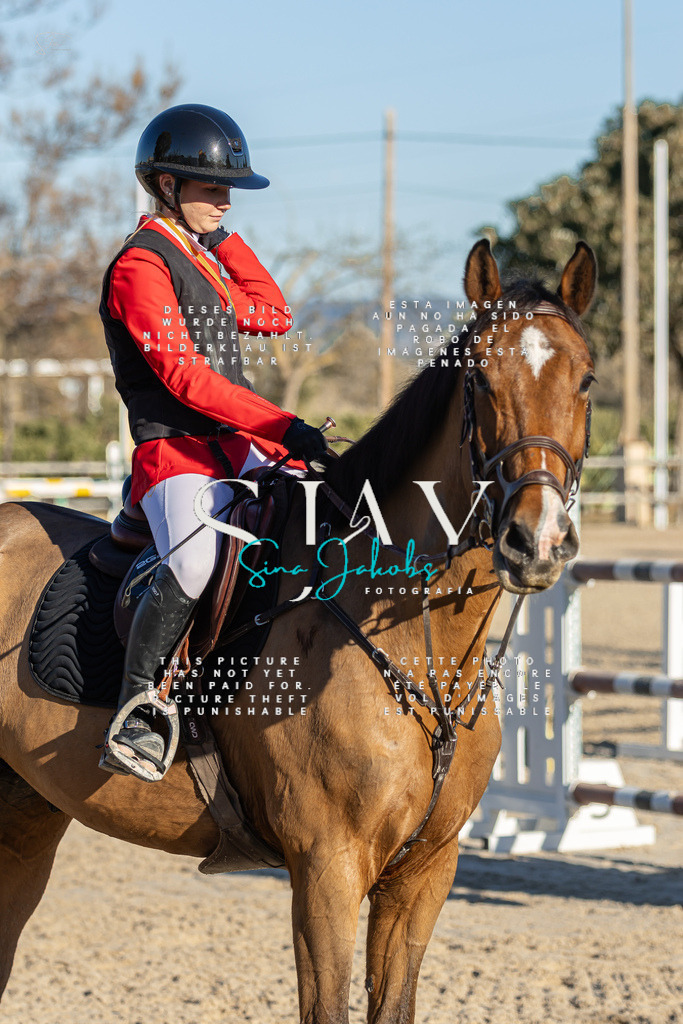 IMG_2311 | s-jay-photography - Realisiert mit Pictrs.com