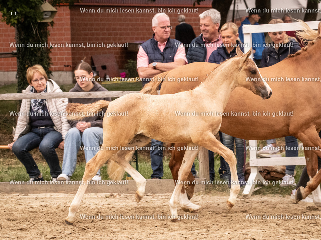 A10I2796 15.56.13 | photographylinaismer - Realisiert mit Pictrs.com