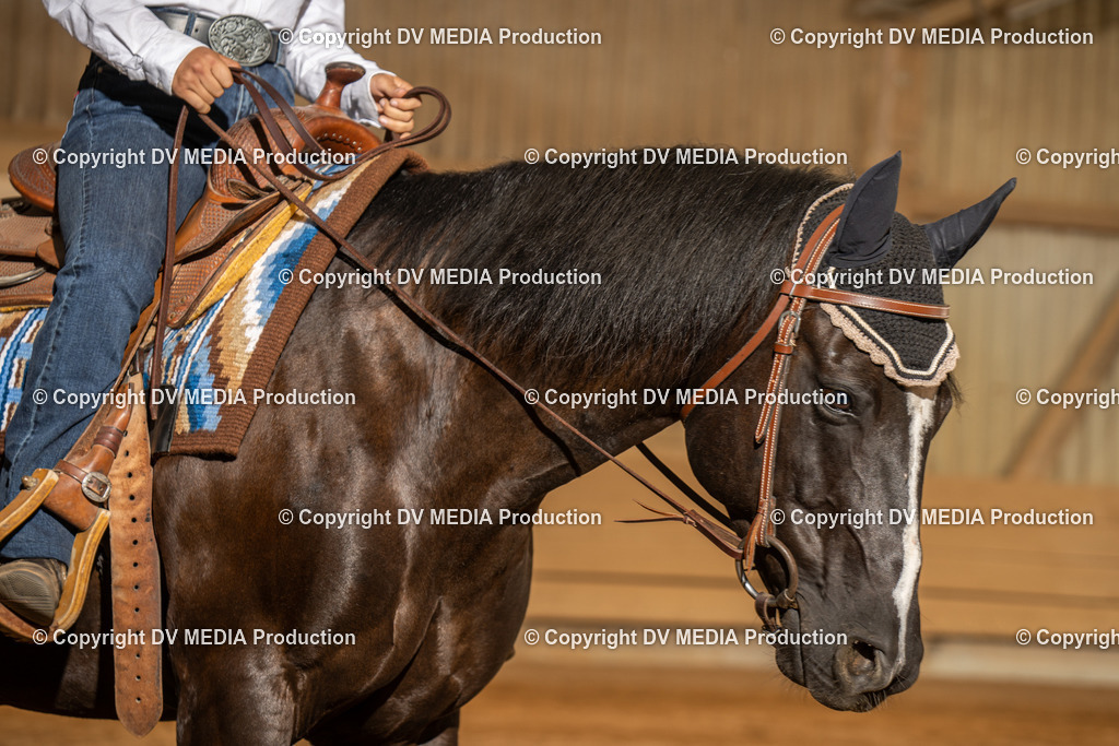 NID03695 | dv-media-shop - Realisiert mit Pictrs.com