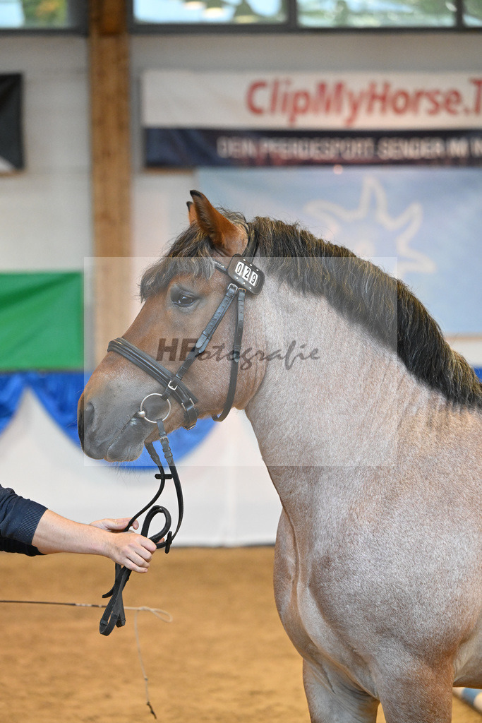 Kat-Nr. 29 Unikat_Luedders_53221147 | hf-fotografie - Realizzato con Pictrs.com