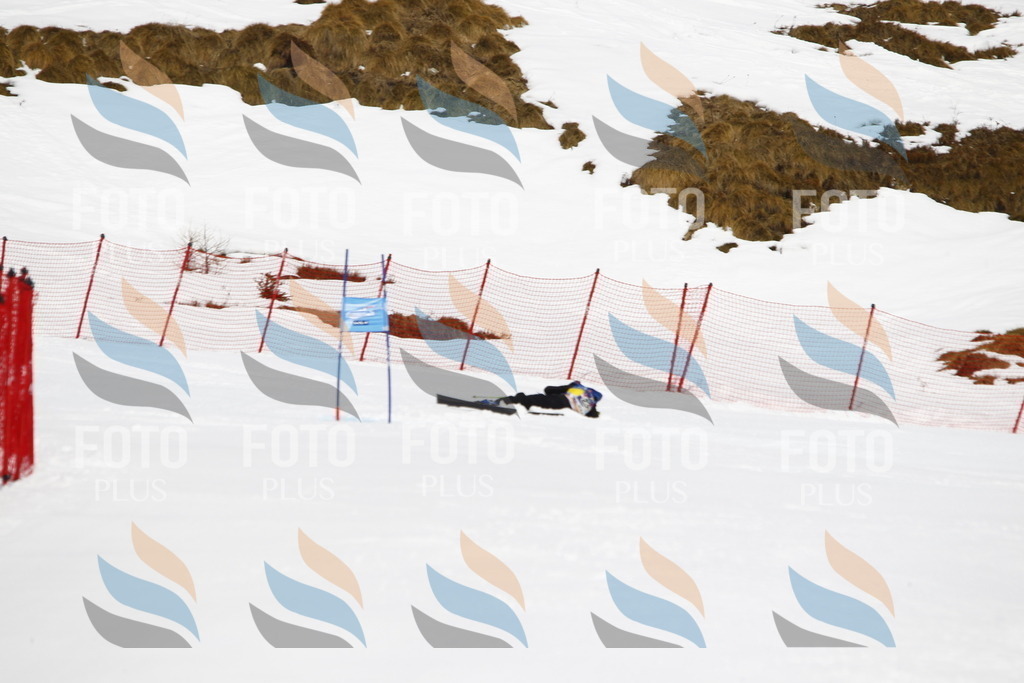 _U3G5979 | holidayphoto