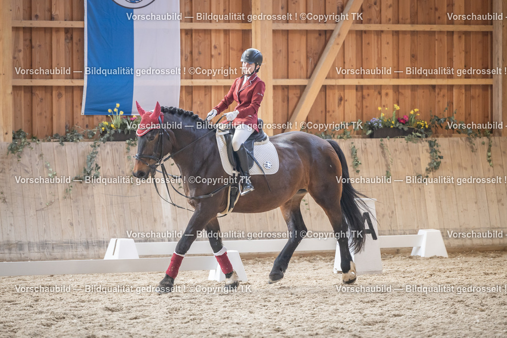 _D5A5641 | Emotionale Pferde- & People-Fotografie rund um Heidelberg, Leimen & Umgebung. Natürliche Fotos von Pferd, Mensch & Familie. Jetzt Termin sichern!