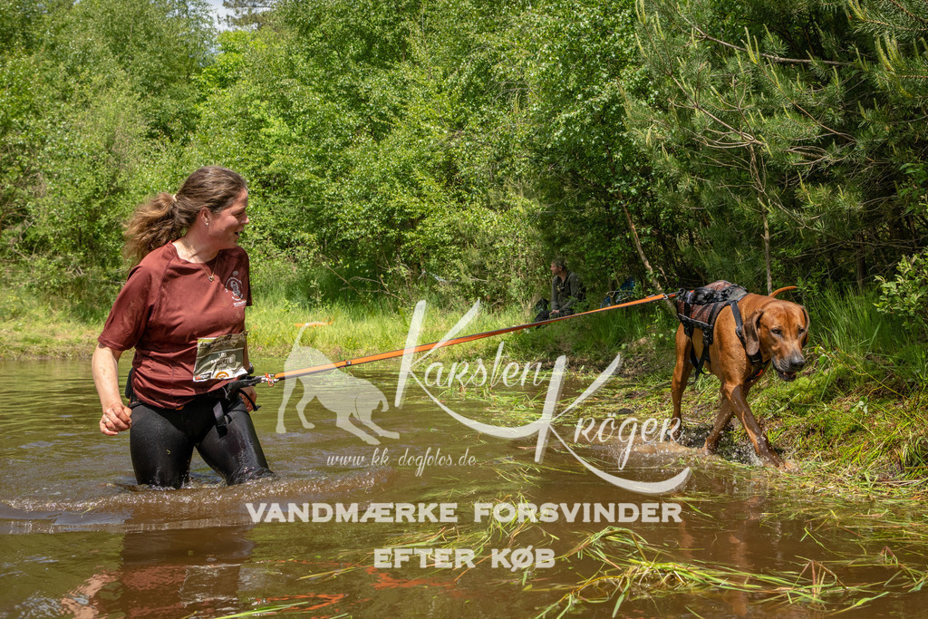 1238DKK993264 | kk-dogfotos