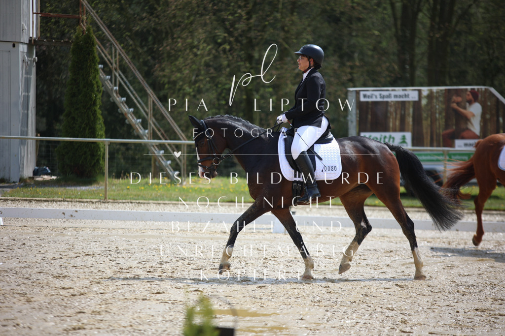 IMGT2434 | pl-fotografie