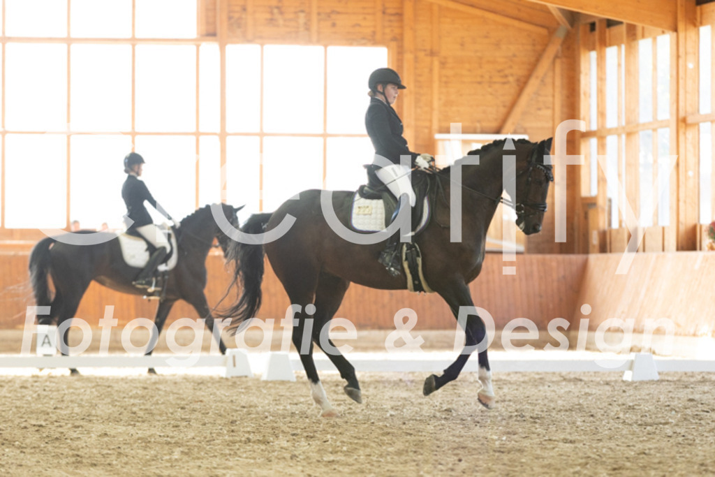 IMG_3448 | Creatify Fotografie