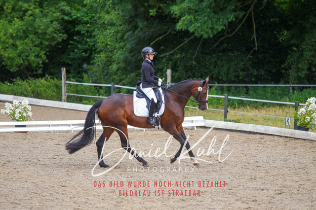 DKP47004 | Turniersportfotografie; Pferdefotografie; Dressurfotografie