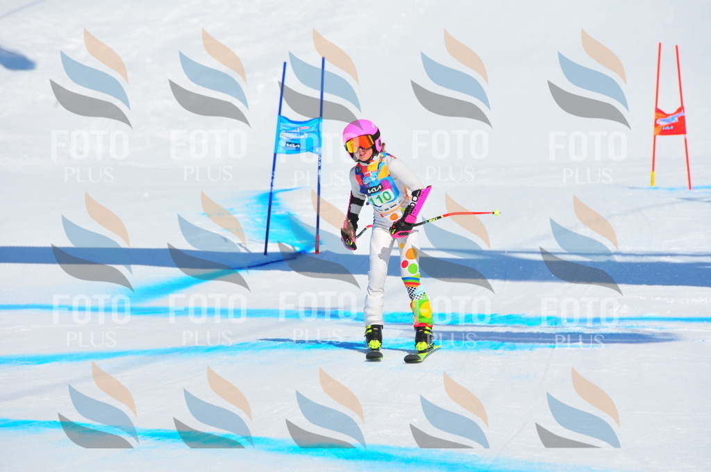 DSC_0832 | holidayphoto