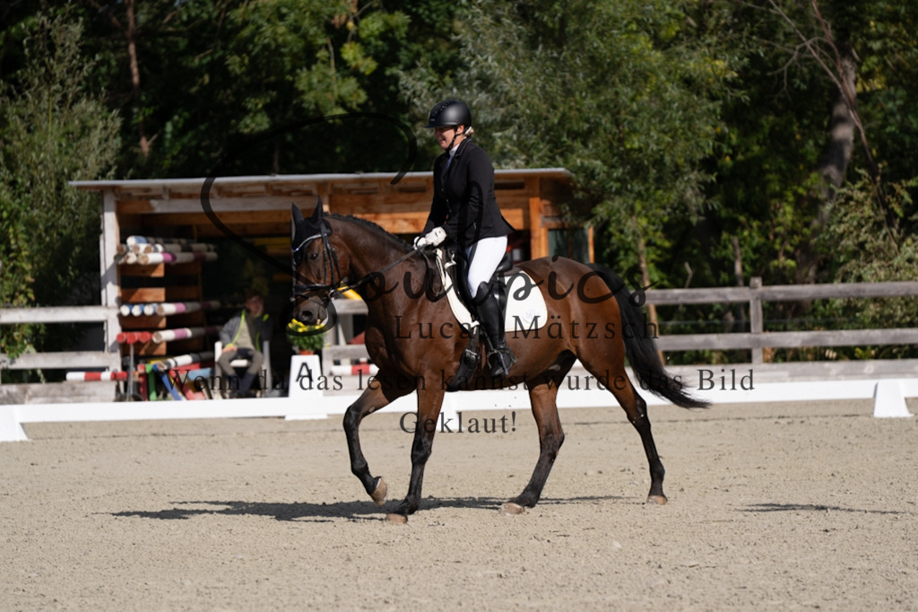 A7V06932 | Turnier/Reitfotograf