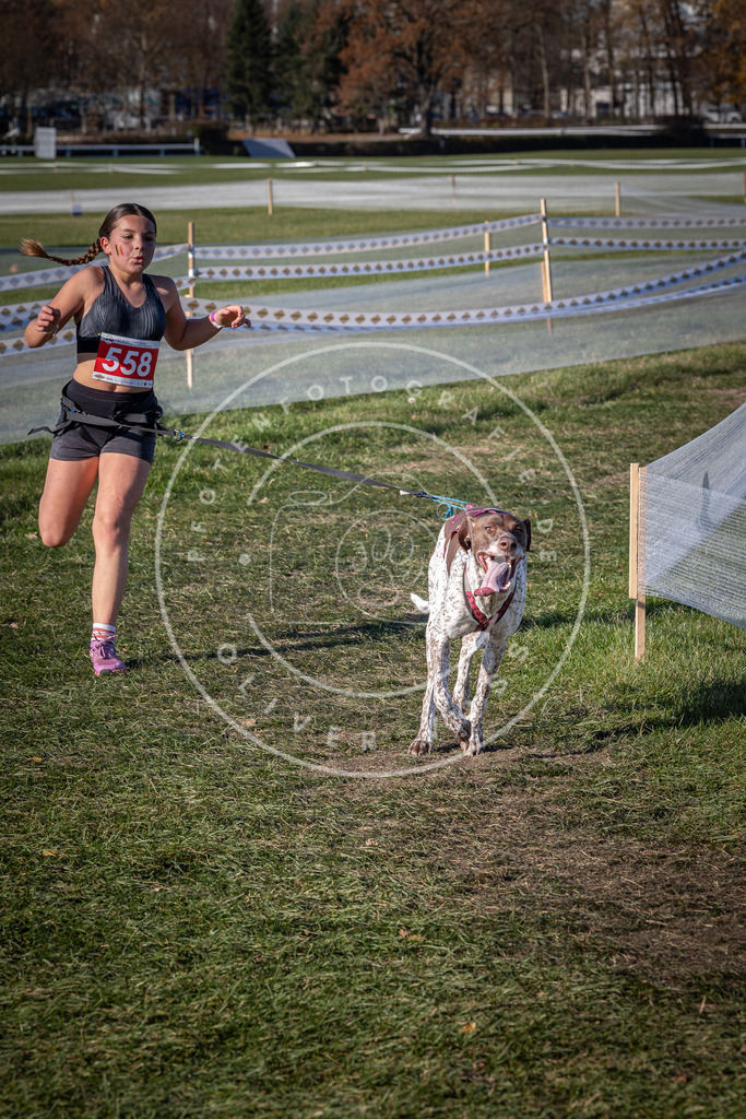 CaniXpix_0L8A7777 | Hundefotografie, Tierfotograf, Pfotenfotografie, Fotoshooting Hund, Hunde Portrait, Hundesport, Hundeportraits, Heideshooting, Hunde, Sportfotograf, Hundefotograf, Turnierhundsport, THS,  - Realisiert mit Pictrs.com