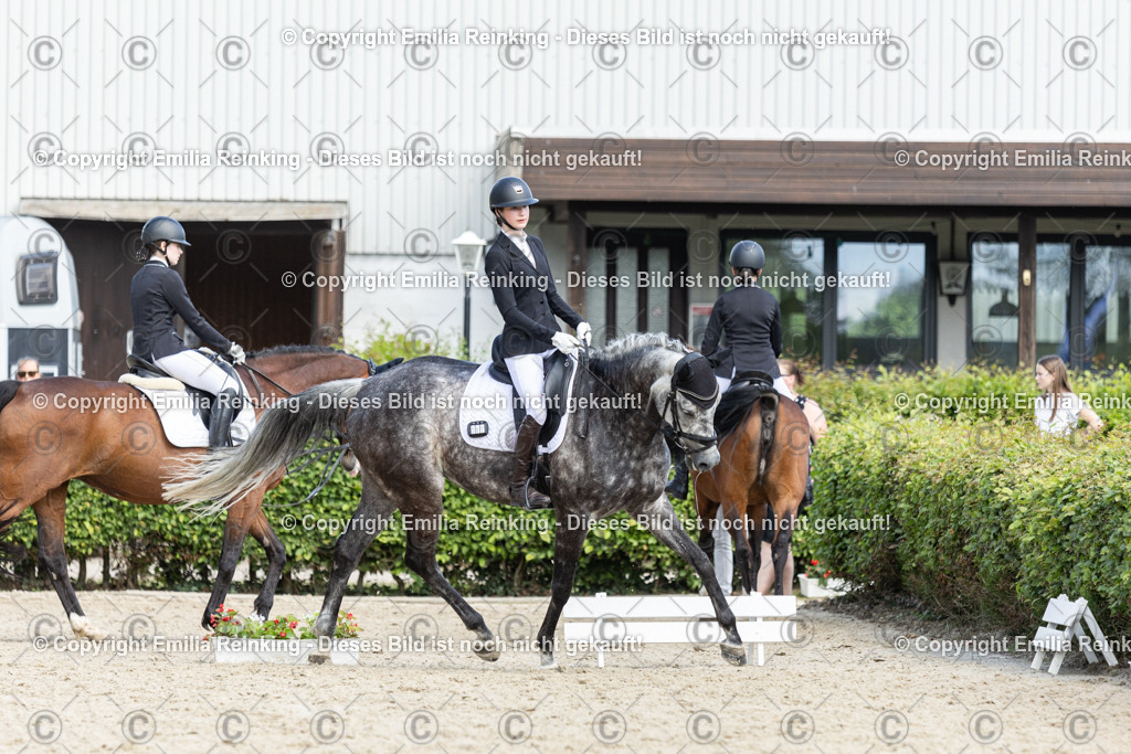 CL5A0905 | Emilia Reinking Fotografie - Realisiert mit Pictrs.com