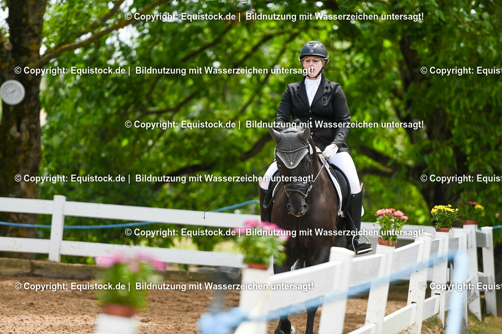 20230716_03_Dressurprfg. Kl.L - Tr._0194 | equistock