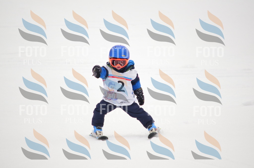 B9017 | holidayphoto